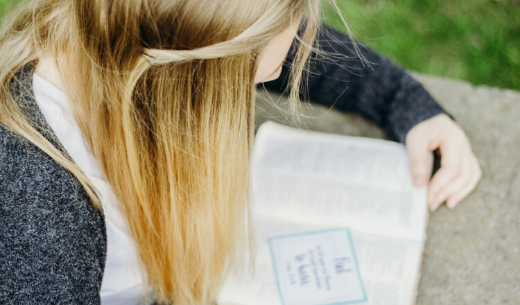 Book reader